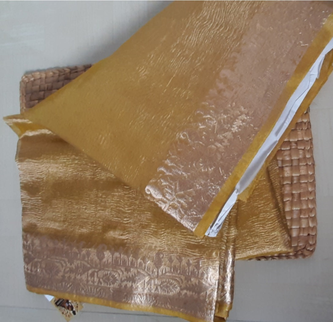Front side view of Tissue Banarasi Saree showcasing soft, luxurious silk and intricate weaving