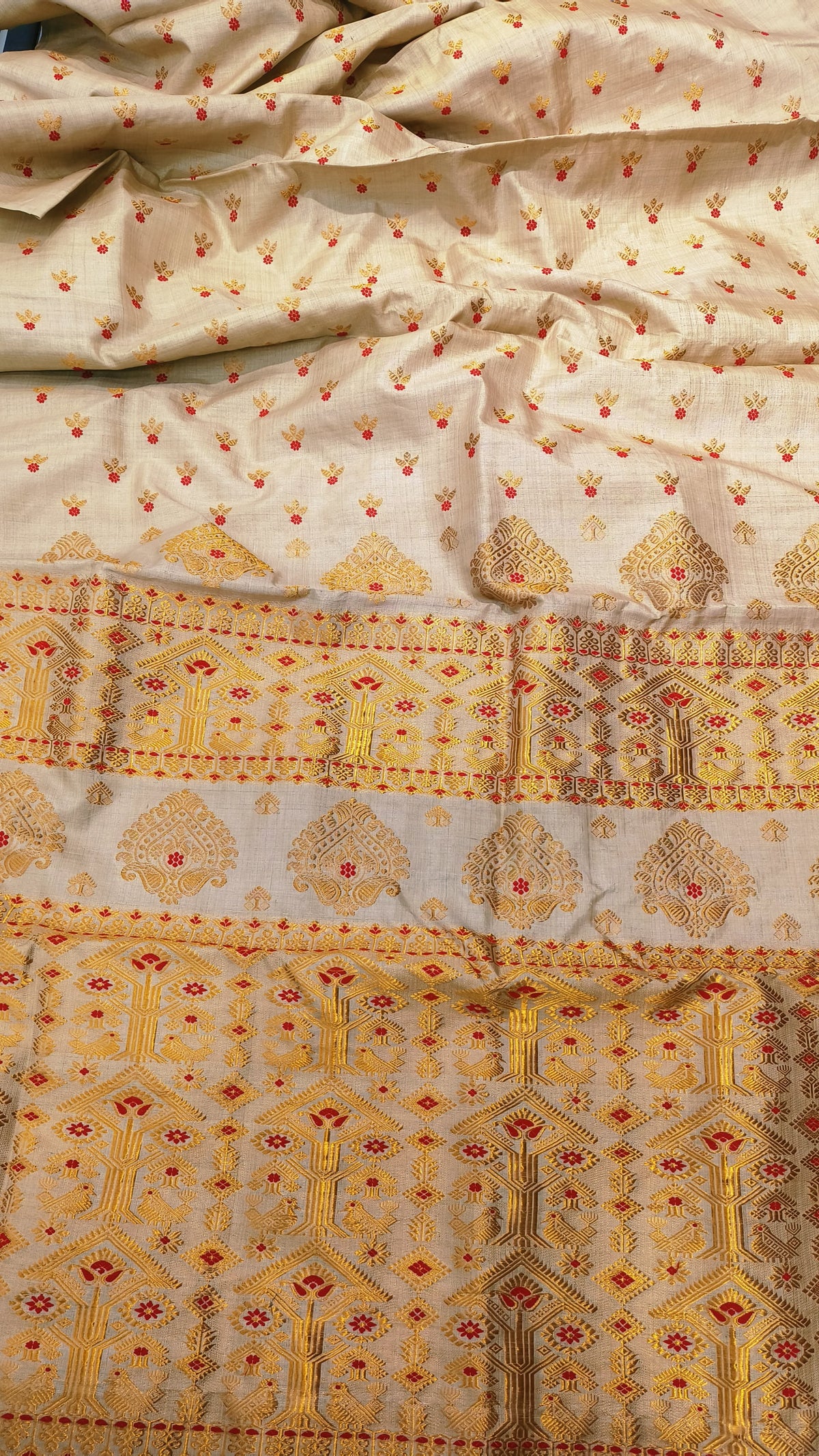 Full saree view of Assam handloom Muga silk saree with gold-toned patterned bands and red accents.