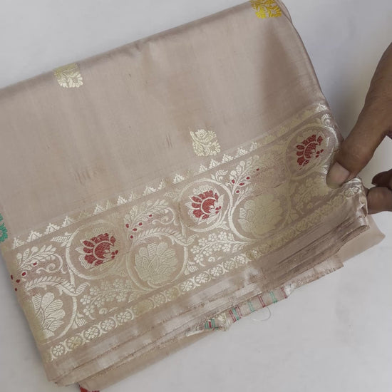 Full saree view highlighting the beige silk drape, patterned borders and colourful paisley pallu