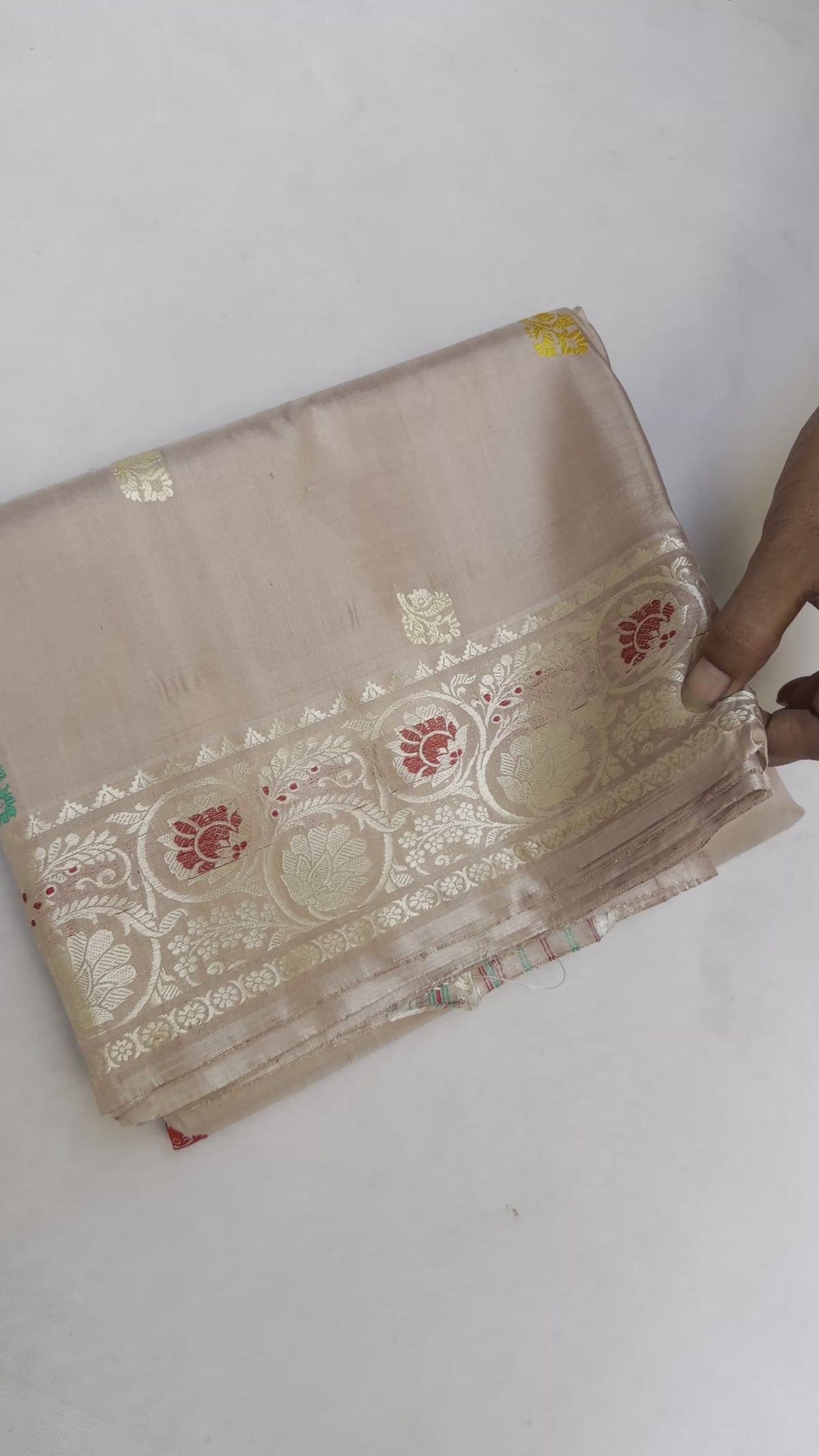 Full saree view highlighting the beige silk drape, patterned borders and colourful paisley pallu