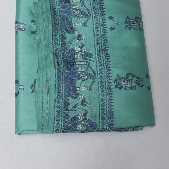 Full saree view highlighting the green pleats, contrasting borders and figurative pallu